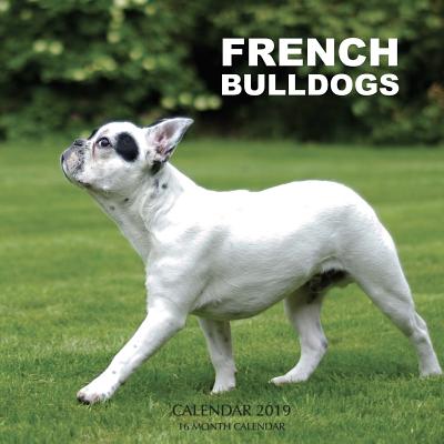 French Bulldogs Calendar 2019: 16 Month Calendar Cover Image