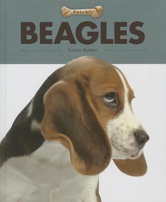 Cover for Beagles (Fetch! (Creative Education))