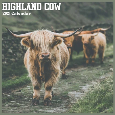 Highland Cow 2021 Calendar: Official Farm Animals Wall Calendar 2021 By New Year 2021 Calendars Cover Image