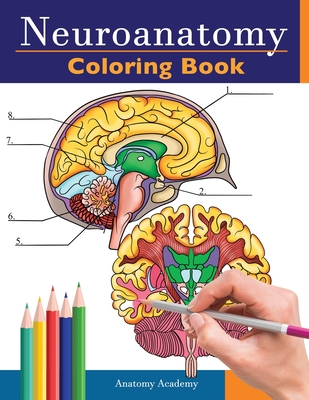 Neuroanatomy Coloring Book: Incredibly Detailed Self-Test Human Brain Coloring Book for Neuroscience Perfect Gift for Medical School Students, Nur By Anatomy Academy Cover Image