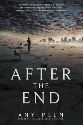 After the End By Amy Plum Cover Image