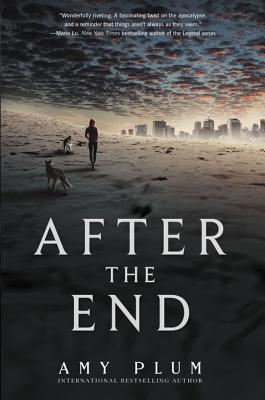 After the End Cover Image