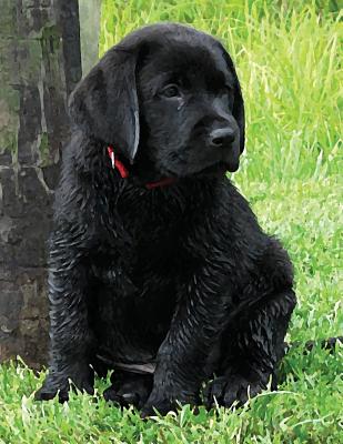 Black Labrador Puppy Notebook: Dog Wisdom Quotes Cover Image