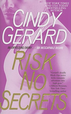 Cover for Risk No Secrets