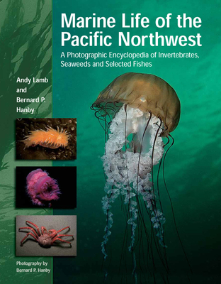 Marine Life of the Pacific Northwest: A Photographic Encyclopedia of Invertebrates, Seaweeds and Selected Fishes Cover Image