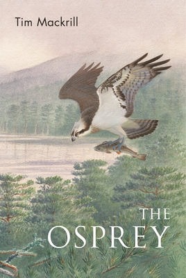 The Osprey (Poyser Monographs)