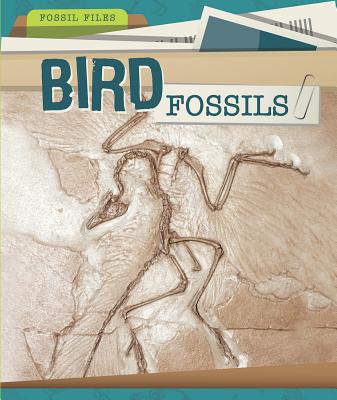 Bird Fossils (Fossil Files) By Sara Meehan Cover Image
