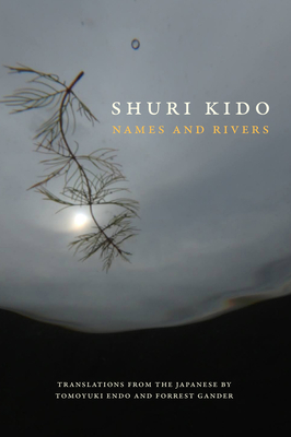 Cover for Names and Rivers