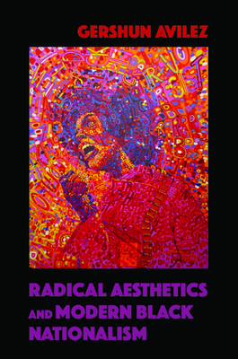 Radical Aesthetics and Modern Black Nationalism (New Black Studies Series)