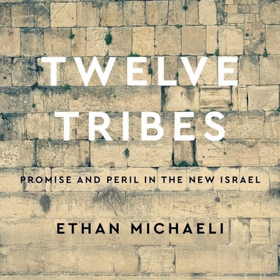 Twelve Tribes: Promise and Peril in the New Israel By Ethan Michaeli, Steven Jay Cohen (Read by) Cover Image