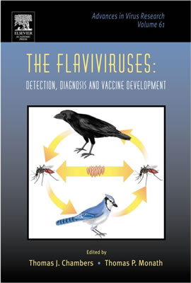 The Flaviviruses: Detection, Diagnosis and Vaccine Development: Volume 61 (Advances in Virus Research #61) Cover Image