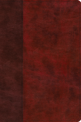 ESV Gospel Transformation Study Bible: Christ in All of Scripture, Grace for All of Life (Trutone, Burgundy/Red, Timeless Design): Christ in All of Sc  Cover Image