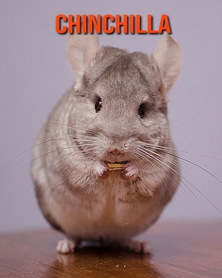 Chinchilla: Sagenhafte Fotos & Buch mit lustigem Wissen über Chinchilla für Kinder Cover Image