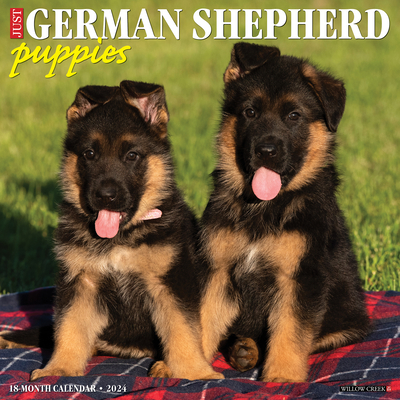 Just German Shepherd Puppies 2024 12 X 12 Wall Calendar By Willow Creek Press Cover Image