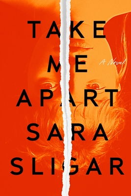 Cover Image for Take Me Apart: A Novel