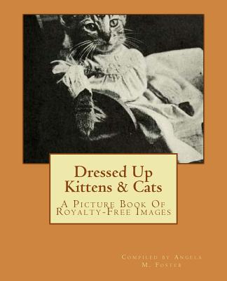 Dressed Up Kittens & Cats: A Picture Book Of Royalty-Free Images By Angela M. Foster Cover Image