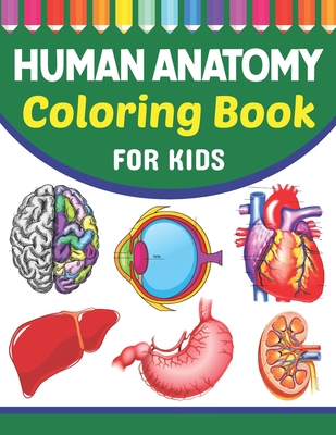 anatomy for kids coloring pages