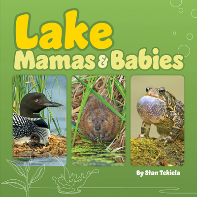 Lake Mamas & Babies Cover Image