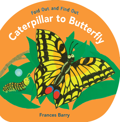 Caterpillar to Butterfly: Fold Out and Find Out By Frances Barry, Frances Barry (Illustrator) Cover Image