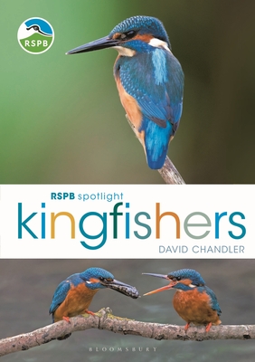 RSPB Spotlight Kingfishers Cover Image