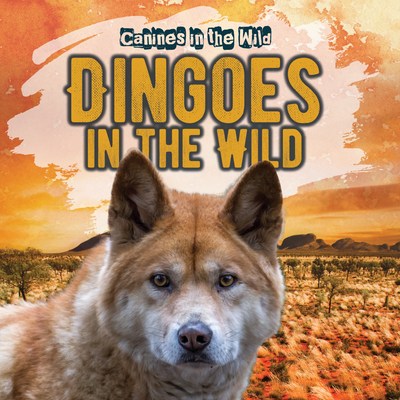 Dingoes in the Wild Cover Image