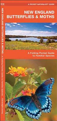 New England Butterflies & Moths: A Folding Pocket Guide to Familiar Species (Pocket Naturalist Guides) By James Kavanagh, Waterford Press Cover Image