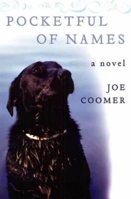 Cover Image for Pocketful of Names: A Novel