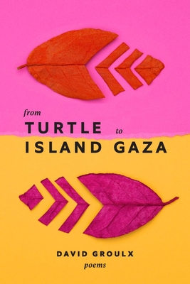 From Turtle Island to Gaza By David Groulx Cover Image