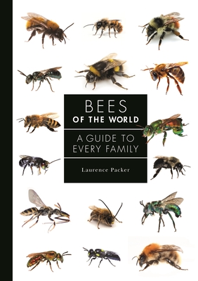 Bees of the World: A Guide to Every Family By Laurence Packer Cover Image