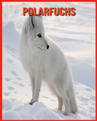 Polarfuchs: Kinderbuch Erstaunliche Fakten & Bilder über Polarfuchs Cover Image