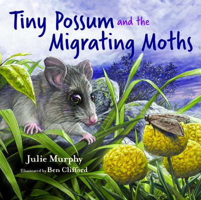 Tiny Possum and the Migrating Moths By Julie Murphy, Ben Clifford (Illustrator) Cover Image