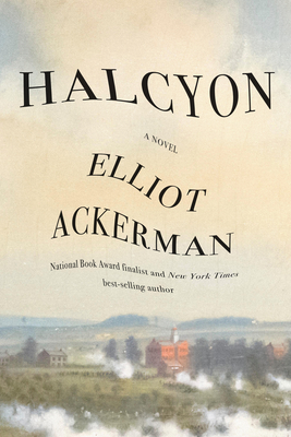 Halcyon: A novel By Elliot Ackerman Cover Image