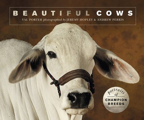 Beautiful Cows: Portraits of champion breeds (Beautiful Animals)