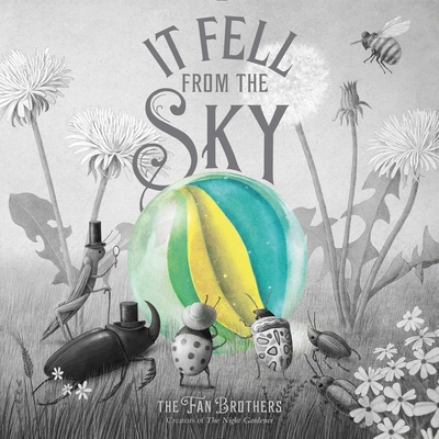 It Fell from the Sky By Terry Fan, Eric Fan, Terry Fan (Illustrator), Eric Fan (Illustrator) Cover Image