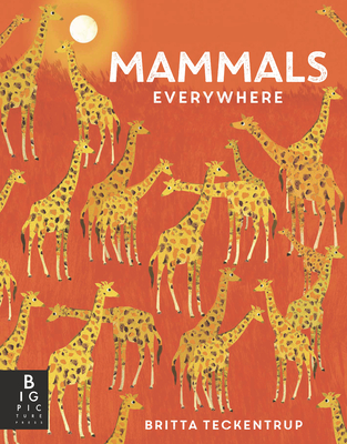 Mammals Everywhere (Animals Everywhere) By Camilla de la Bedoyere, Britta Teckentrup (Illustrator) Cover Image