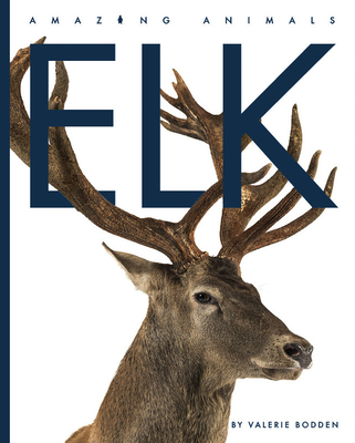 Elk (Amazing Animals) Cover Image