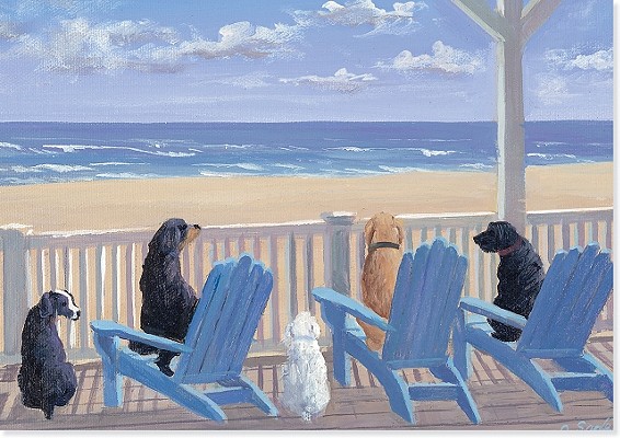 Dogs on Deck Chairs Note Cards [With 15 Designer Envelopes]