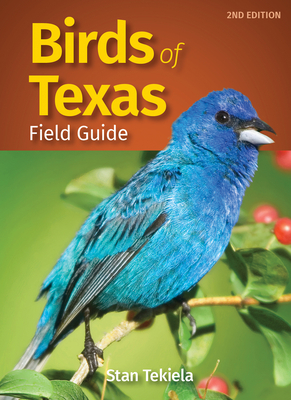 Birds of Texas Field Guide (Bird Identification Guides) By Stan Tekiela Cover Image