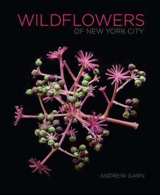 Wildflowers of New York City By Andrew Garn Cover Image