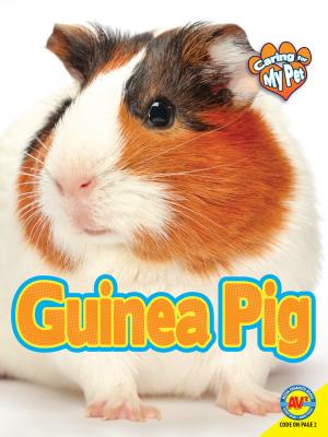 Guinea Pig (Caring for My Pet) Cover Image