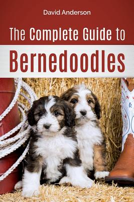 The Complete Guide to Bernedoodles: Everything you need to know to successfully raise your Bernedoodle puppy! Cover Image