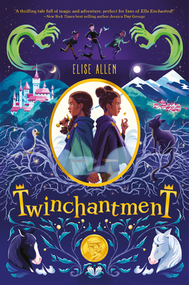 Cover for Twinchantment (Twinchantment Series #1)