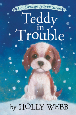 Teddy in Trouble (Pet Rescue Adventures) By Holly Webb, Sophy Williams (Illustrator) Cover Image