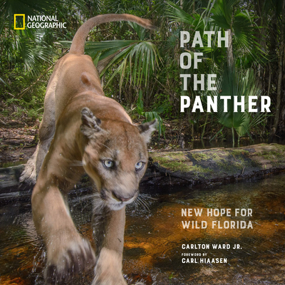 Path of the Panther: New Hope for Wild Florida By Carlton Ward, Jr., Carl Hiaasen (Foreword by) Cover Image