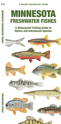 Minnesota Freshwater Fishes: A Waterproof Folding Guide to Native and Introduced Species By Matthew Morris, Waterford Press, Raymond Leung (Illustrator) Cover Image