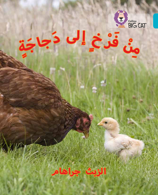 Chick to Hen: (Level 7) (Collins Big Cat Arabic)