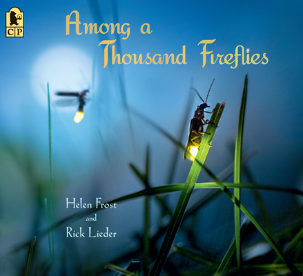 Among a Thousand Fireflies (Step Gently, Look Closely) Cover Image