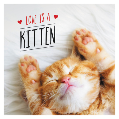 Love is a Kitten: A Cat-Tastic Celebration of the Worlds Cutest Kittens By Charlie Ellis Cover Image