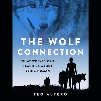 The Wolf Connection: What Wolves Can Teach Us about Being Human Cover Image