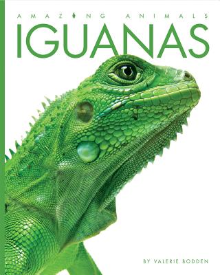 Amazing Animals: Iguanas Cover Image